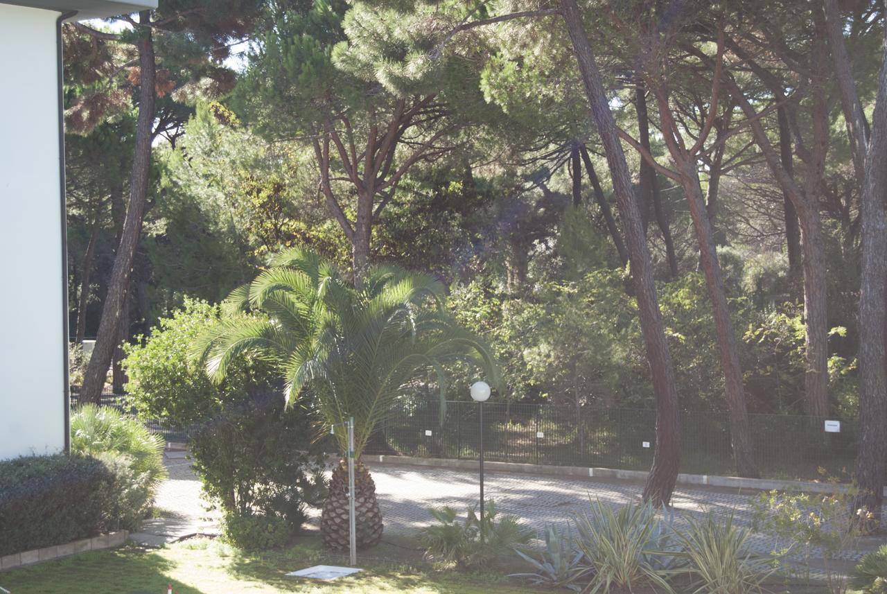 Pineta 3* Principina a Mare